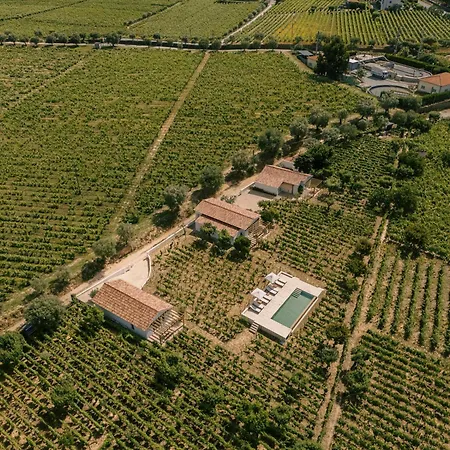Imago - Private Pool - Douro Valley - By Met