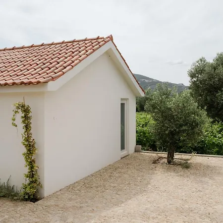 Imago - Private Pool - Douro Valley - By Met Villa *