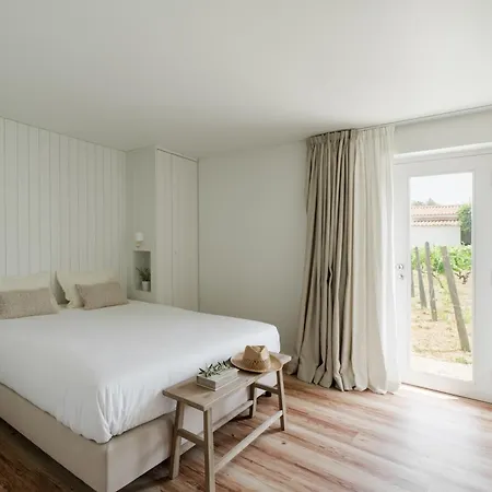 Imago - Private Pool - Douro Valley - By Met Villa Lamego