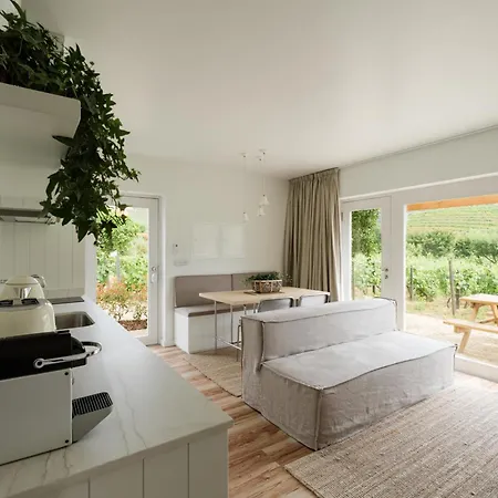 Villa Imago - Private Pool - Douro Valley - By Met Lamego