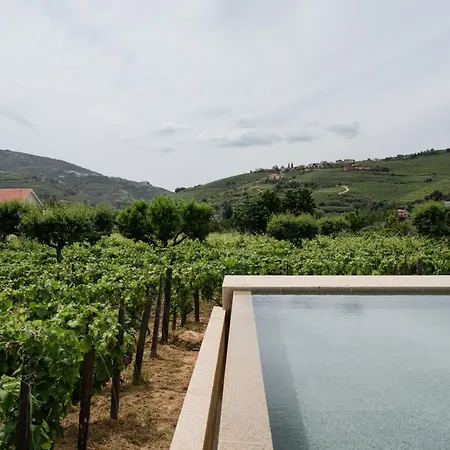 Imago - Private Pool - Douro Valley - By Met * Lamego
