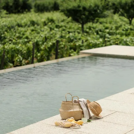 Villa Imago - Private Pool - Douro Valley - By Met Lamego