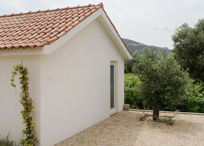 Imago - Private Pool - Douro Valley - By Met Villa *