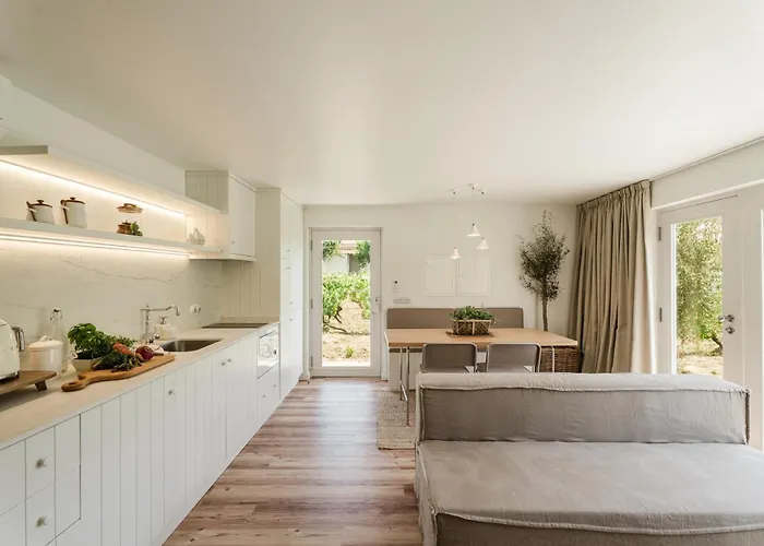 Imago - Private Pool - Douro Valley - By Met * Lamego