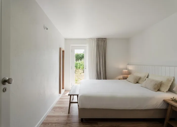 Imago - Private Pool - Douro Valley - By Met Villa