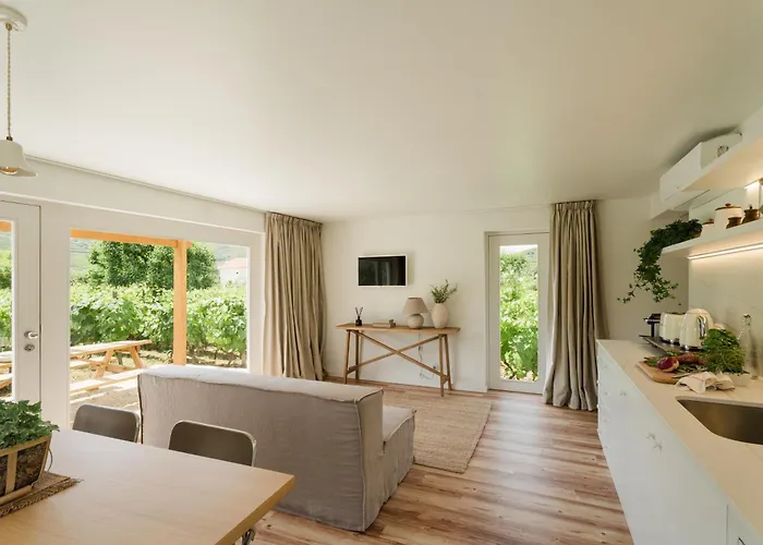 Imago - Private Pool - Douro Valley - By Met * Lamego