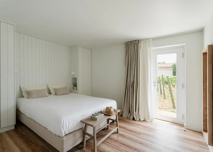 Imago - Private Pool - Douro Valley - By Met Villa Lamego