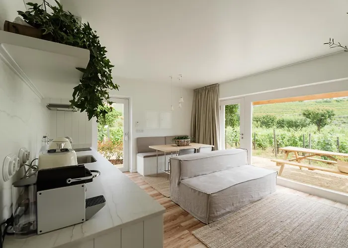 Villa Imago - Private Pool - Douro Valley - By Met Lamego