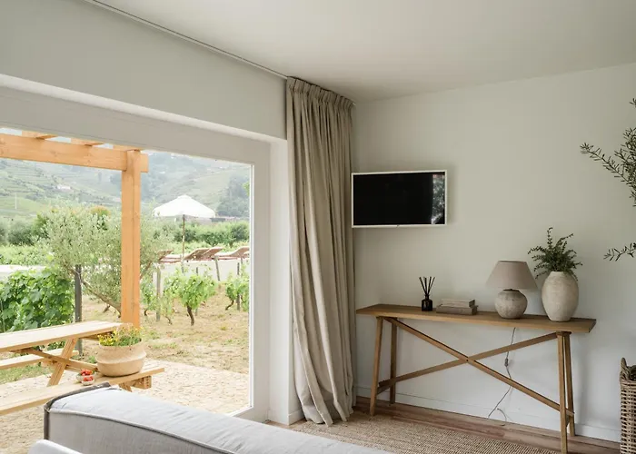 Imago - Private Pool - Douro Valley - By Met Villa Lamego