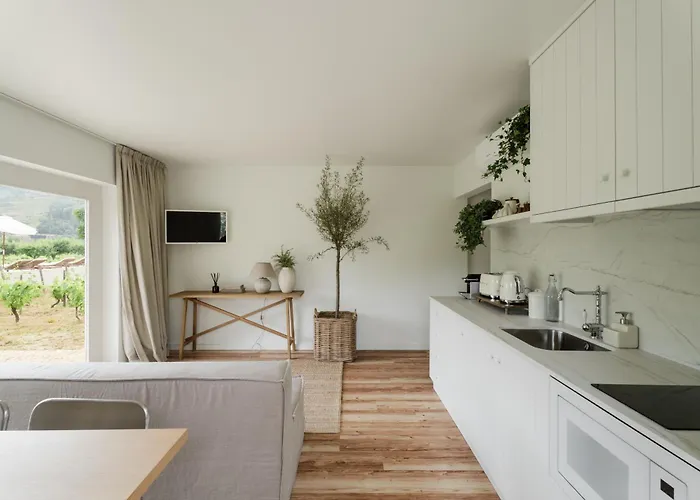 Imago - Private Pool - Douro Valley - By Met * Lamego