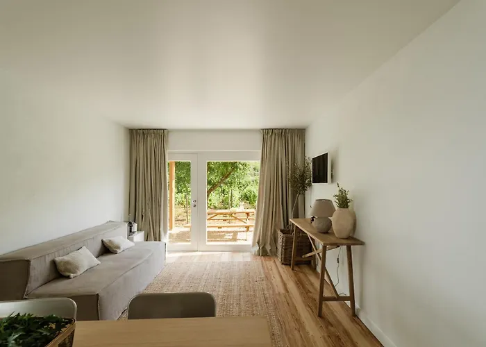 Imago - Private Pool - Douro Valley - By Met Villa Lamego