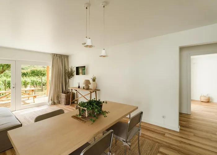 Imago - Private Pool - Douro Valley - By Met Lamego