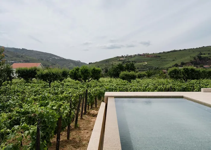 Imago - Private Pool - Douro Valley - By Met * Lamego