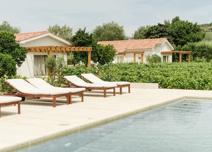 Imago - Private Pool - Douro Valley - By Met