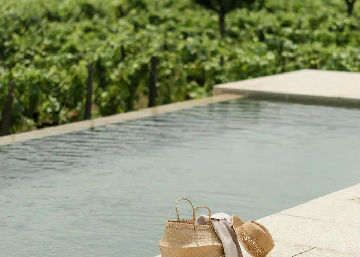 Villa Imago - Private Pool - Douro Valley - By Met Lamego